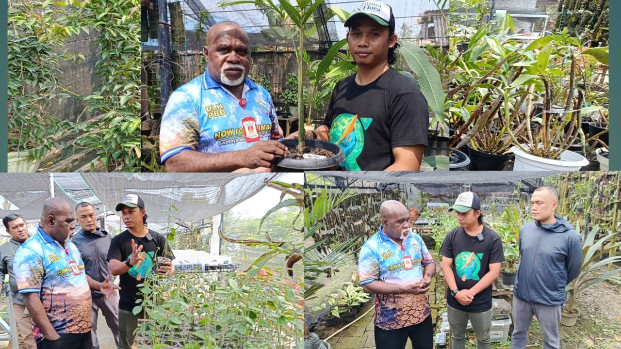 Mengembangkan Potensi Flora Endemik Papua Melalui Konservasi Berkelanjutan di Suratman Botanical Garden