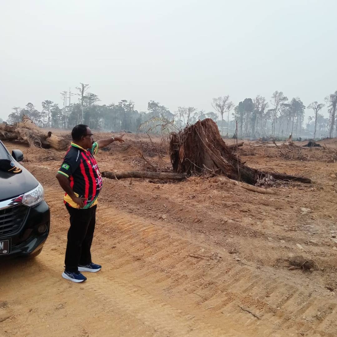 Hutan 10 Ribu Hektare Dibabat untuk Cetak Sawah, Rp42 Miliar Dipertanyakan: “Mana Hak Masyarakat