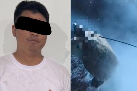 Polisi Selidiki Dugaan Perburuan Penyu Sisik oleh WNA Tiongkok di Kawasan Konservasi Raja Ampat