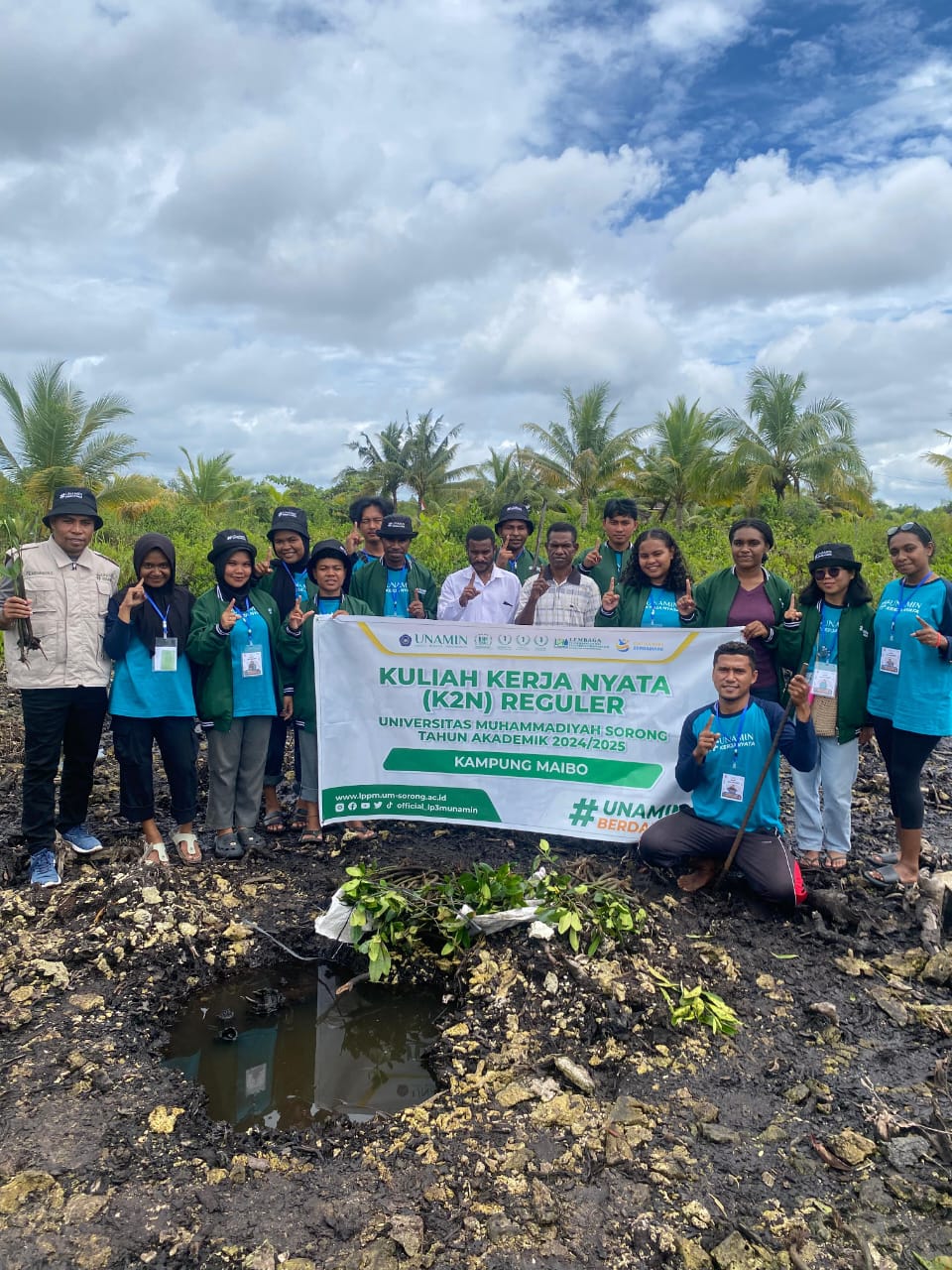 K2N Mahasiswa UNAMIN Tanam  Ratusan Bibit Pohon mangrove Wujud Kepedulian Terhadap Lingkungan
