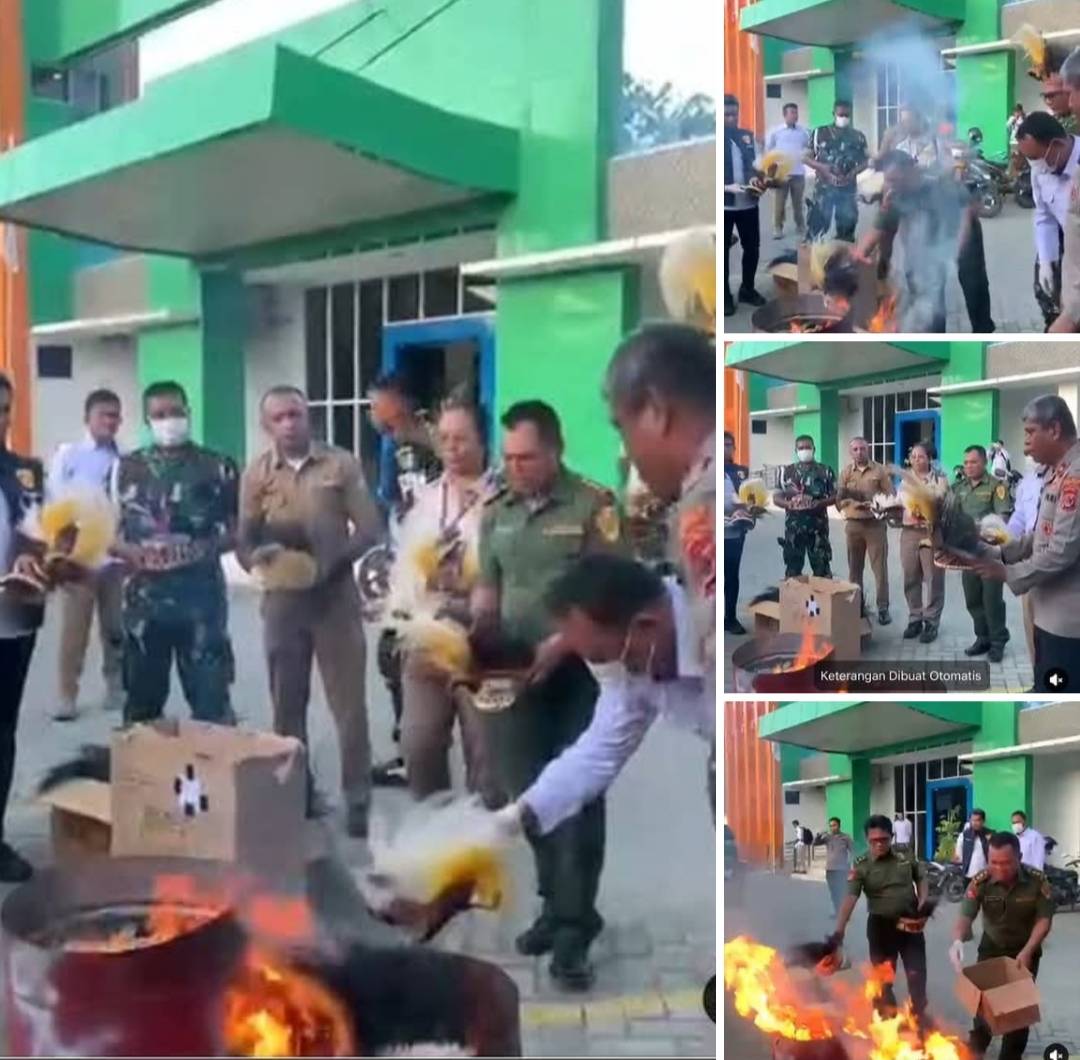 YLBH-KIP Kecam Keras Pembakaran Mahkota Cenderawasih, Simbol Identitas Kultural Orang Asli Papua