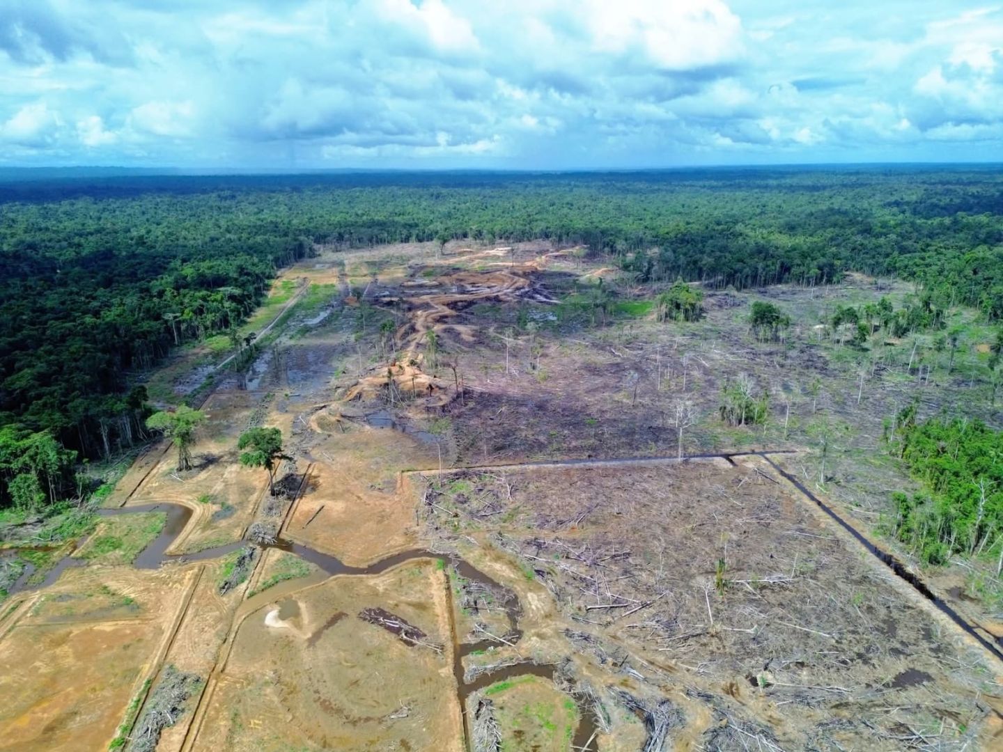 GMKI Sorong Selatan: KNPI Jangan Jadi Budak PSN, Urus Pemuda dan Olahraga Saja!".